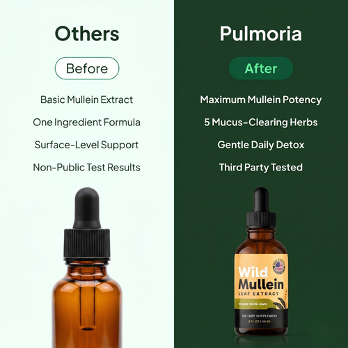 Super Concentrated Wild Mullein Drops