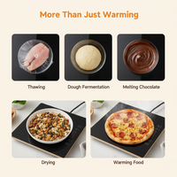 Electric Food Warming Mat™