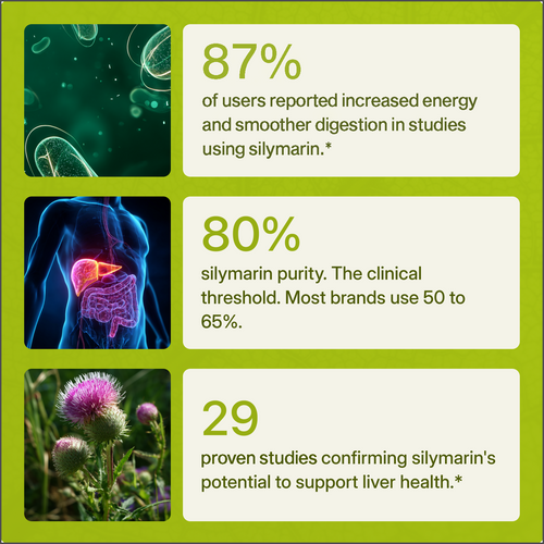 Soline - Milk Thistle For Liver Support