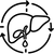Supports Liver In Bile Production